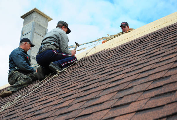 Roof Repair Estimates in Loving, NM